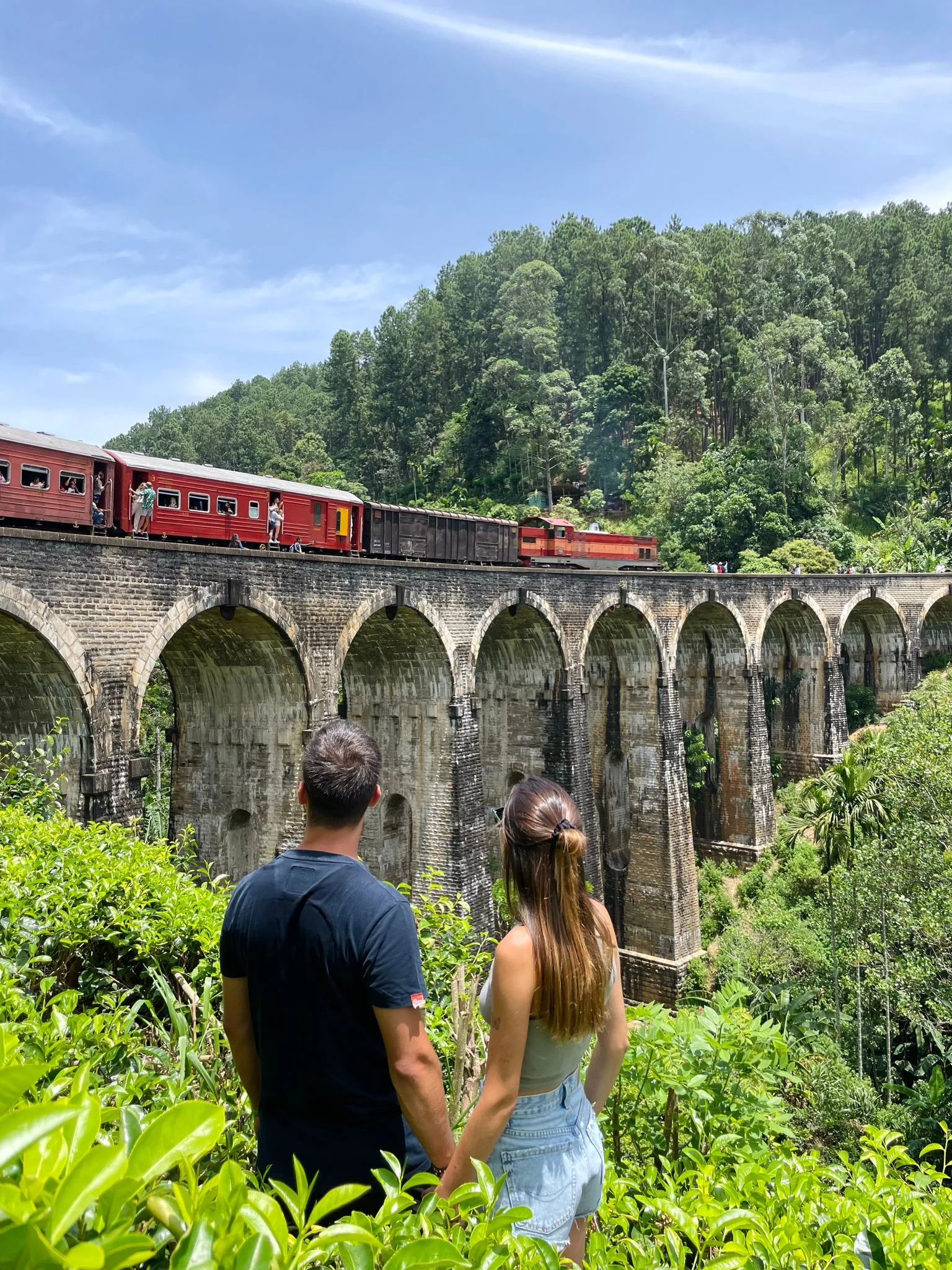 The hill country train crossing Nine Arch Bridge near Ella
